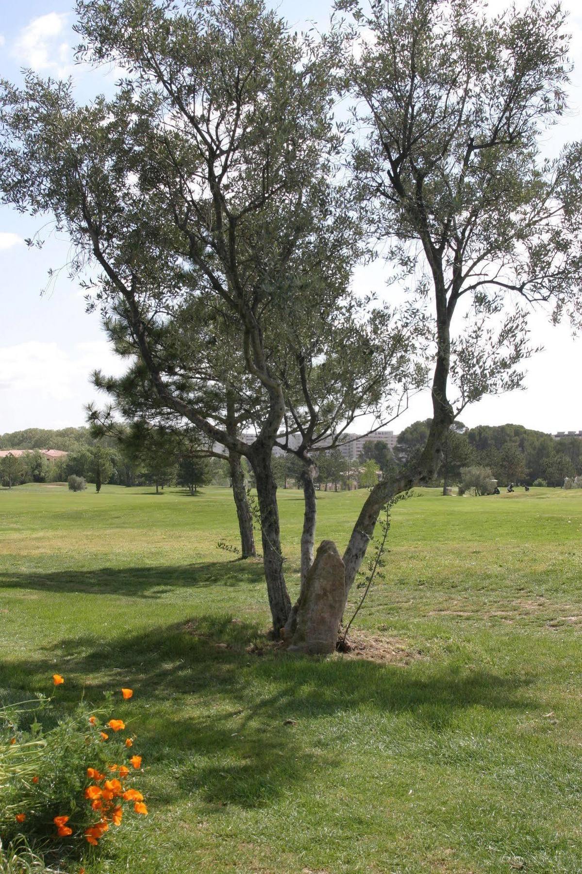 Residence De Tourisme Cote Green Juvignac Esterno foto